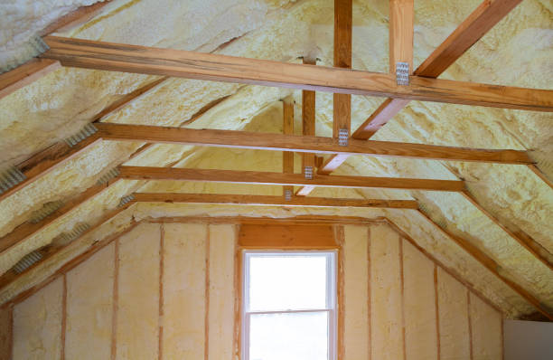 Professional Insulation Contractor in Vanceboro, NC