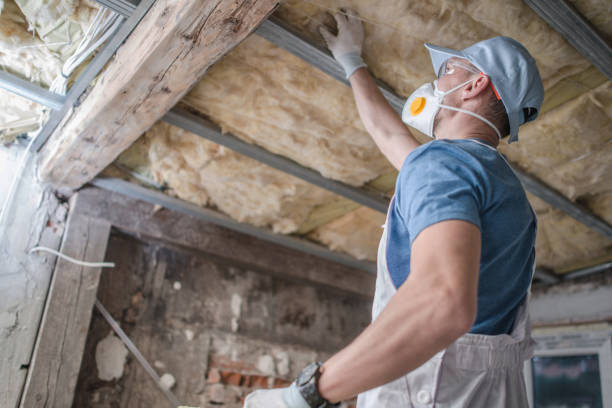 Best Insulation for Specific Applications in Vaeboro, NC