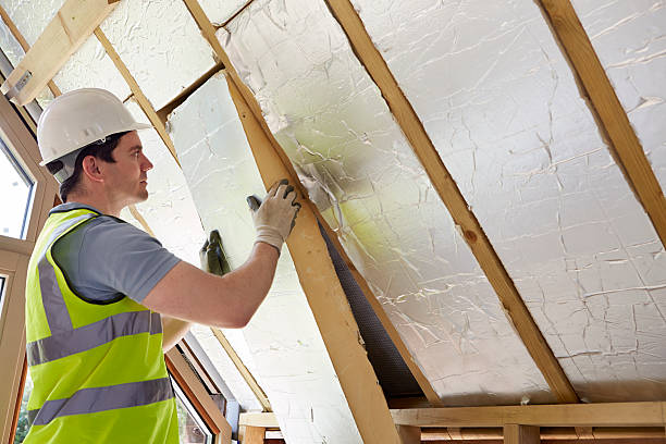 Best Eco-Friendly Insulation in Vaeboro, NC
