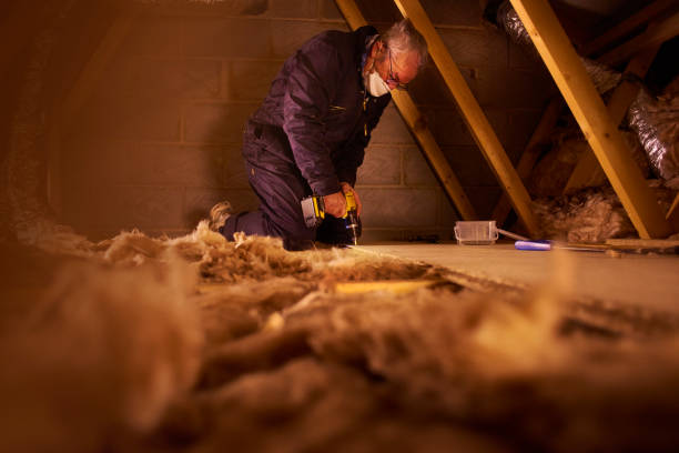Best Commercial Insulation in Vaeboro, NC